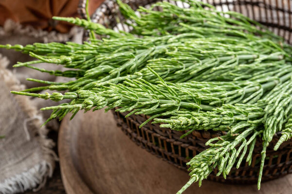 Fresh horsetail twigs in a basket