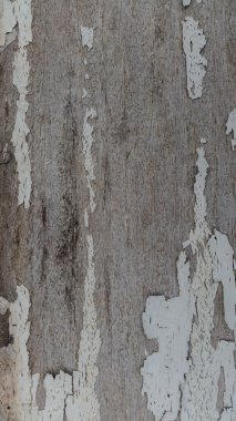 eski ahşap arka plan