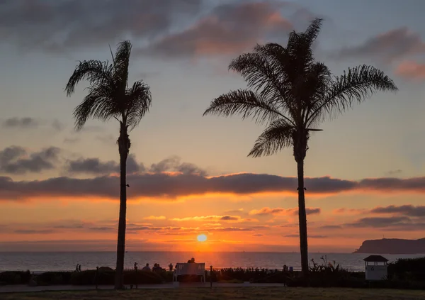 San Diego Palma tramonto con coppia sulla panchina al centro — Foto Stock
