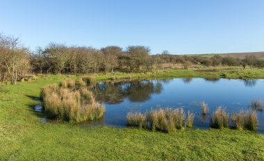 South Downs milli park çiğ gölcük