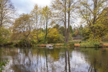 Sonbaharda Glade gölde üzerine düşünceler