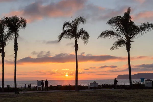 Silhouette di palma al tramonto — Foto Stock