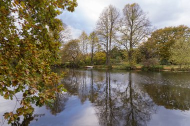 Göl sonbahar ağaçların yansımalar