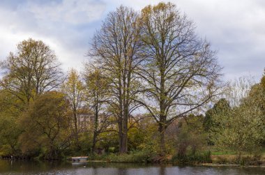 Uzun boylu ağaçlar sonbahar gölde yanında