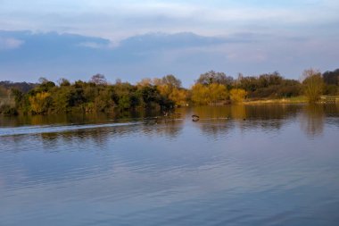 Kayalar ve splash ve Kıbrıs'ta sprey ile dalgalar