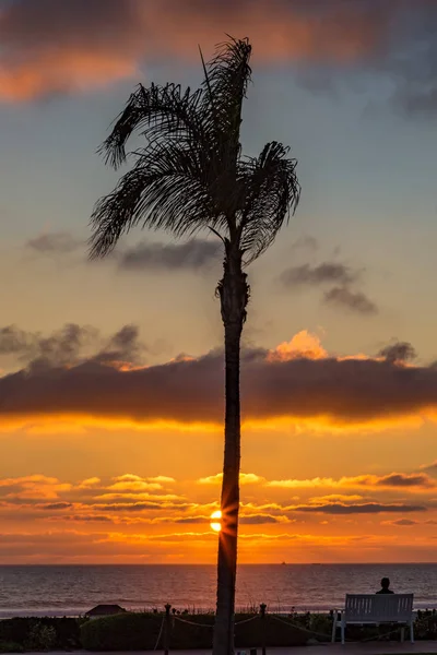 Palm tree západ slunce s člověkem, který sedí na lavičce, chtějí s — Stock fotografie