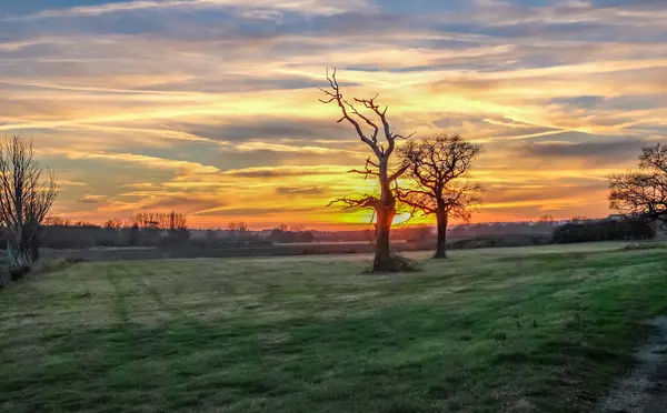 Winer zonsondergang op het platteland van Essex — Stockfoto