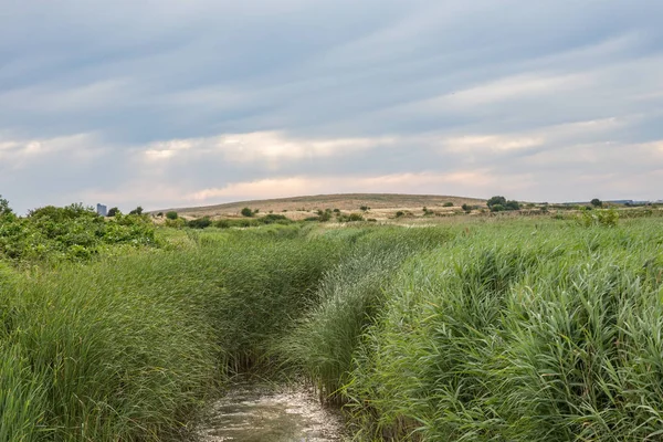 Rainham yürüyüşleri, Essex manzara