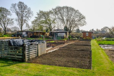 Allotment in springtime, newly cultivated plot. clipart