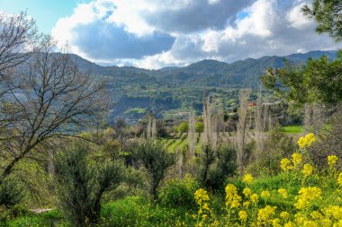 Troodos dağ manzaralı vadi.