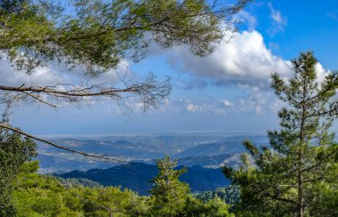 Ağaçlar aracılığıyla üst Troodos dağ üzerinden görüntülemek
