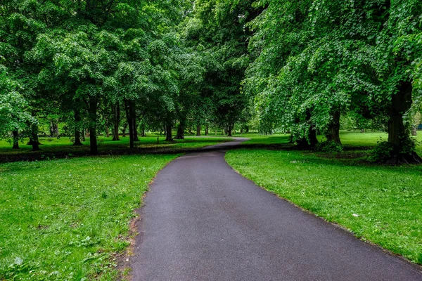 Bute 공원, 카디프, 웨일즈에서 나무를 통해 경로 와인딩 — 스톡 사진