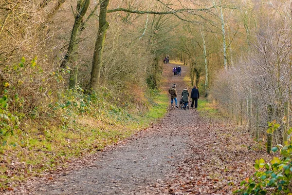 Familie na een winter lopen in het bos — Stockfoto