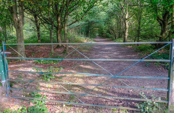 Gesloten metalen poort blokkeert de ingang van een bos lopen in de — Stockfoto