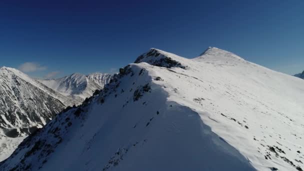 Altaï montagnes d'une hauteur. L'homme dans les montagnes — Video