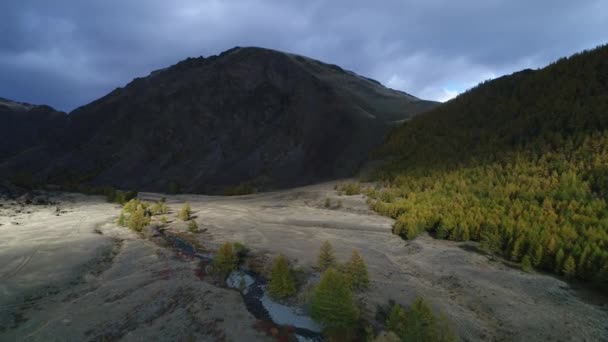 アルタイの高さから アルタイの赤い山 ロシア シベリア アルタイ共和国 アルタイ山脈 空気からアルタイ — ストック動画
