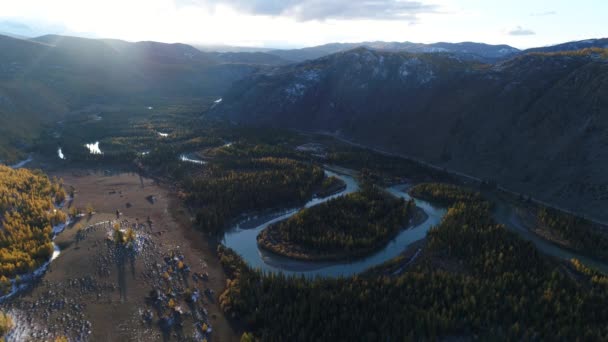 Altaj Berglandschap Video Vanuit Lucht Siberische Taiga Siberische Woud Siberische — Stockvideo