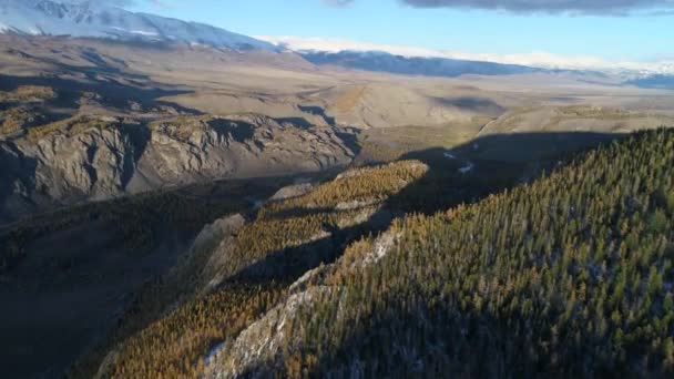 Altai Republic Mountain Landscape Video Air Siberian Taiga Siberian Forest — Stock Video
