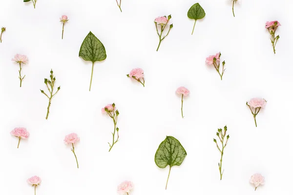 Patrón romántico hecho de flores de rosas y hojas de brunnera verde . —  Fotos de Stock