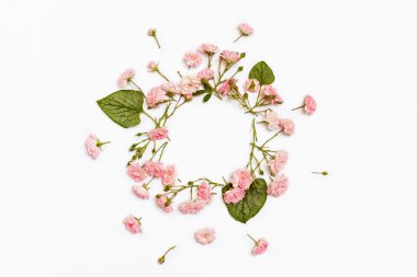 Beyaz arka plan üzerinde yuvarlak çerçeve çiçek. Düz yatıyordu, en iyi görünümü. 