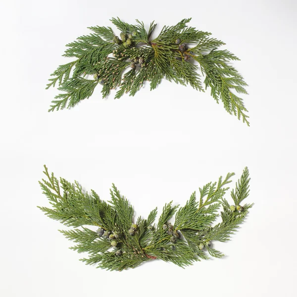 Concetto natalizio - corona di cornici con sempreverde — Foto Stock