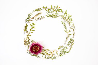 Beyaz arka plan üzerinde yuvarlak çerçeve çiçek. Düz yatıyordu, en iyi görünümü. 