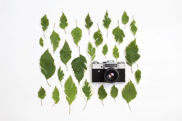Retro Vintage fotoğraf makinesi ve beyaz yeşil yaprakları desen