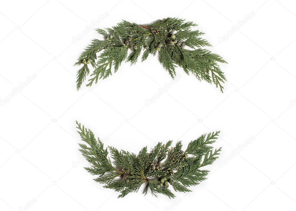 Christmas concept - frame wreath with evergreen Cupressus 