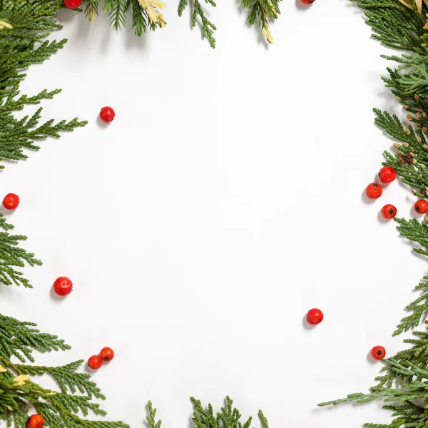 Herdem yeşil çam ağacı ile Noel arka plan sınırı 