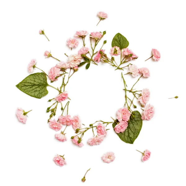 Floral round frame on white background. Flat lay, top view. — Stock Photo, Image