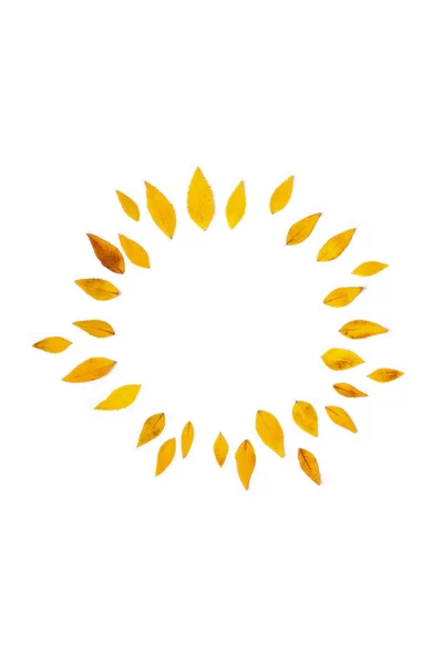 黄色的叶子，排列在白色背景上的圆形状. — 图库照片