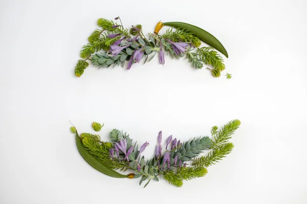 ホリデイ ・ コンセプト - 常緑多肉植物青とフレーム花輪 — ストック写真