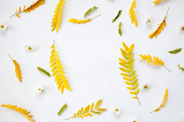 Kreatív elrendezése sárga őszi levelek, fehér háttér — Stock Fotó