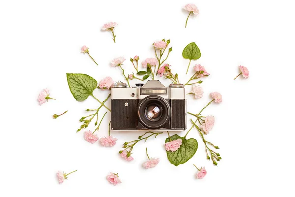 Vintage retro photo camera, pink roses the fairy and Brunnera — Stock Photo, Image