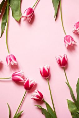 Pembe Laleler ve yeşil yaprakları o yaratıcı çiçek arrandgement