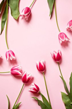 Pembe Laleler ve yeşil yaprakları o yaratıcı çiçek arrandgement