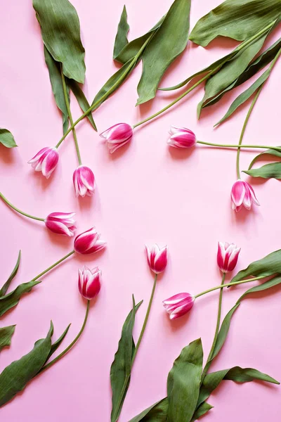 Δημιουργική floral arrandgement με ροζ τουλίπες και o πράσινα φύλλα — Φωτογραφία Αρχείου