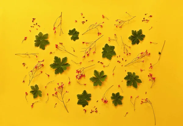 Çiçek desenli kırmızı çiçekler, yeşil ile yaprakları, yaprakları 