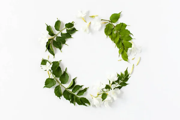 Γύρος πλαισίων από πράσινα φύλλα και λευκά άνθη σε λευκό — Φωτογραφία Αρχείου