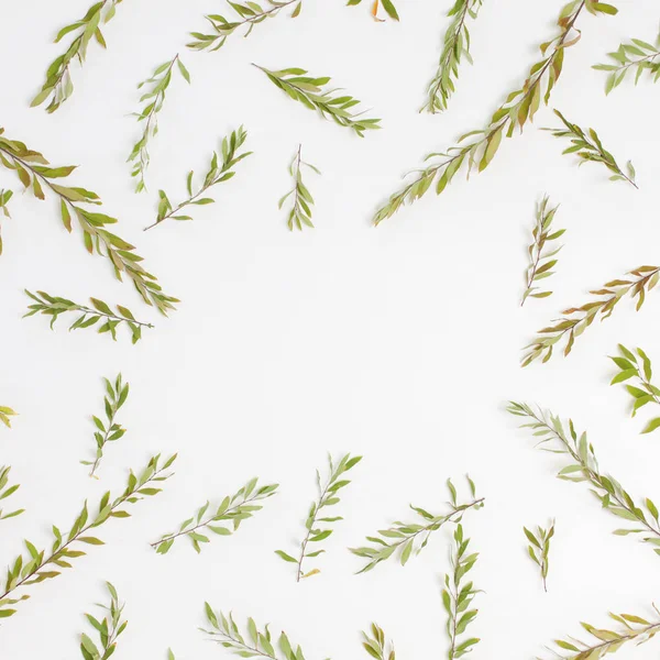 Çerçeve dalları, yaprakları ve beyaz izole yaprakları ile 