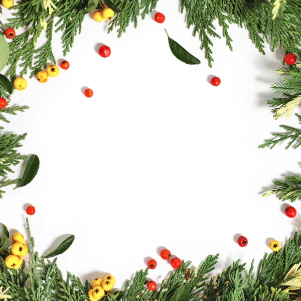 Herdem yeşil çam ağacı ve kırmızı ile Noel arka plan sınırı 