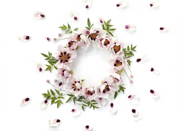 Round floral wreath frame made of white peonies — Stock Photo, Image