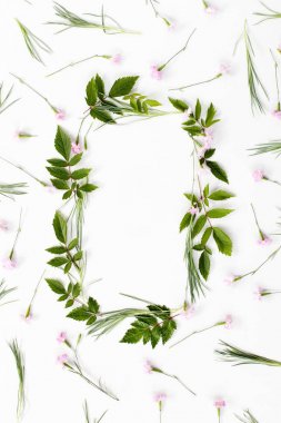 Çiçek kompozisyon. Çerçeve pembe karanfil çiçek yaptı 