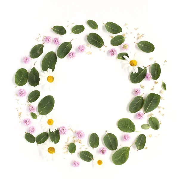 Pembe çiçek, neden çiçek yapılmış yuvarlak çerçeve çiçek