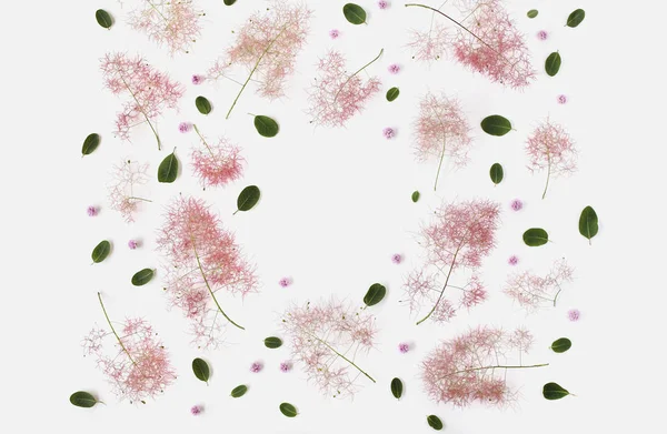 Lapos laikus összetétele készült füst fa lila virágok — Stock Fotó