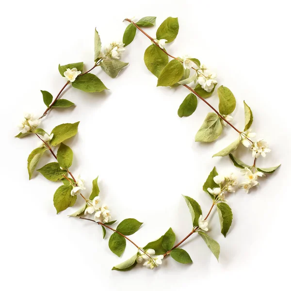 Düz yatıyordu kenarlık çerçeve beyaz Yasemin çiçekleri, tomurcukları ile 