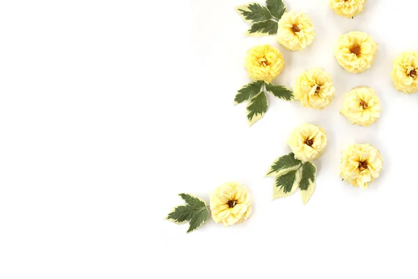 バラと分離した葉を持つ創造的なフラワーアレンジメント — ストック写真