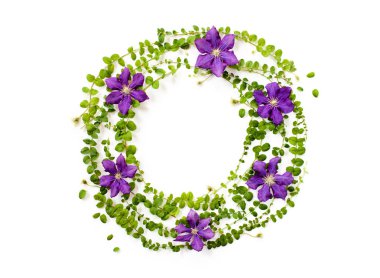 çerçeve çiçek çiçekler, dalları ve yaprakları beyaz yuvarlak 