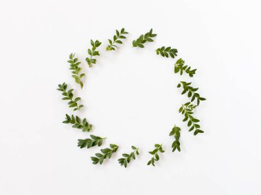 Dalları ve yaprakları beyaz arka plan üzerinde yuvarlak çerçeve çiçek.