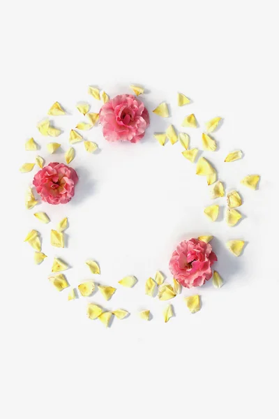 라운드 프레임 화 환 패턴 장미와 고립 된 꽃잎 — 스톡 사진